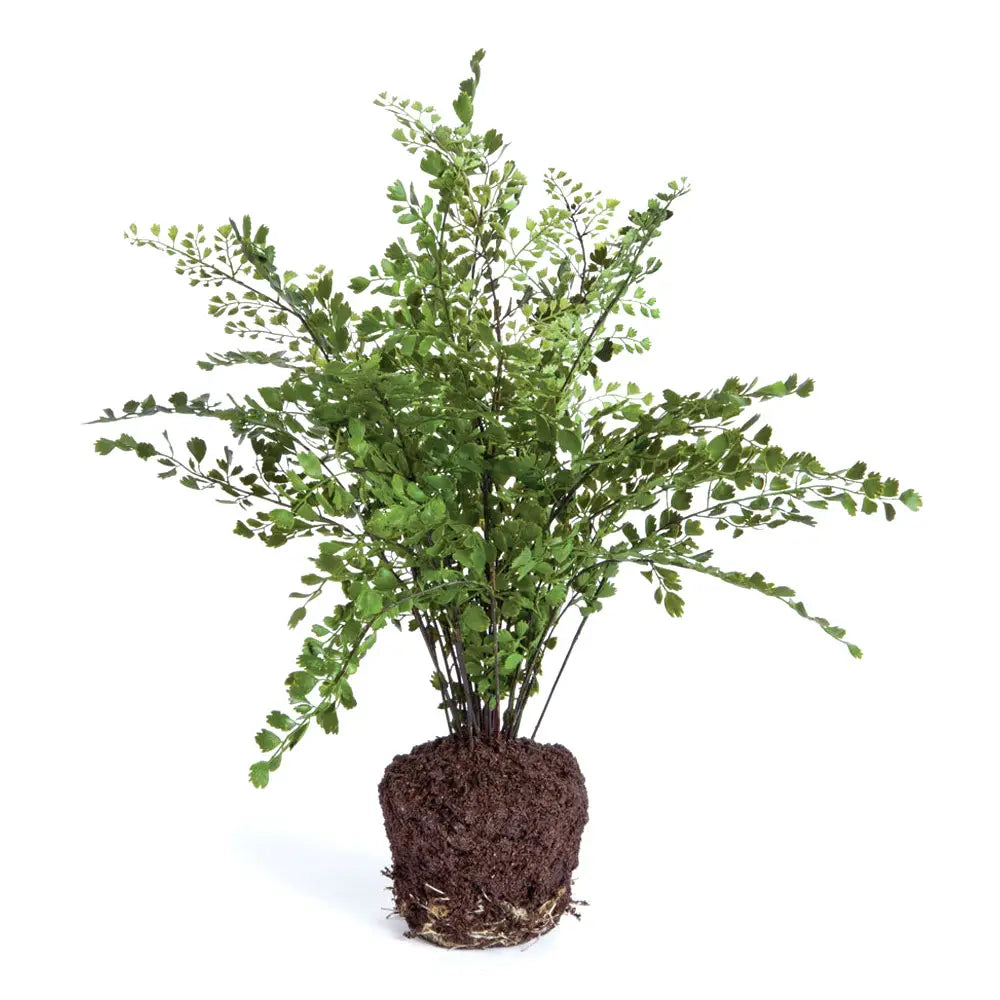 MAIDENHAIR DROP IN 18"