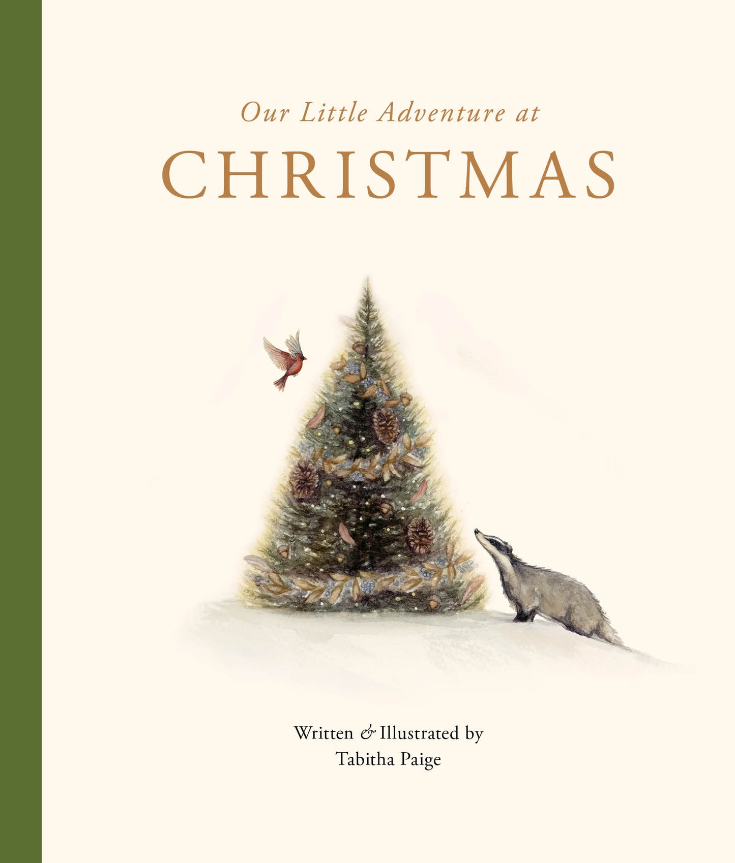OUR LITTLE ADVENTURE AT CHRISTMAS