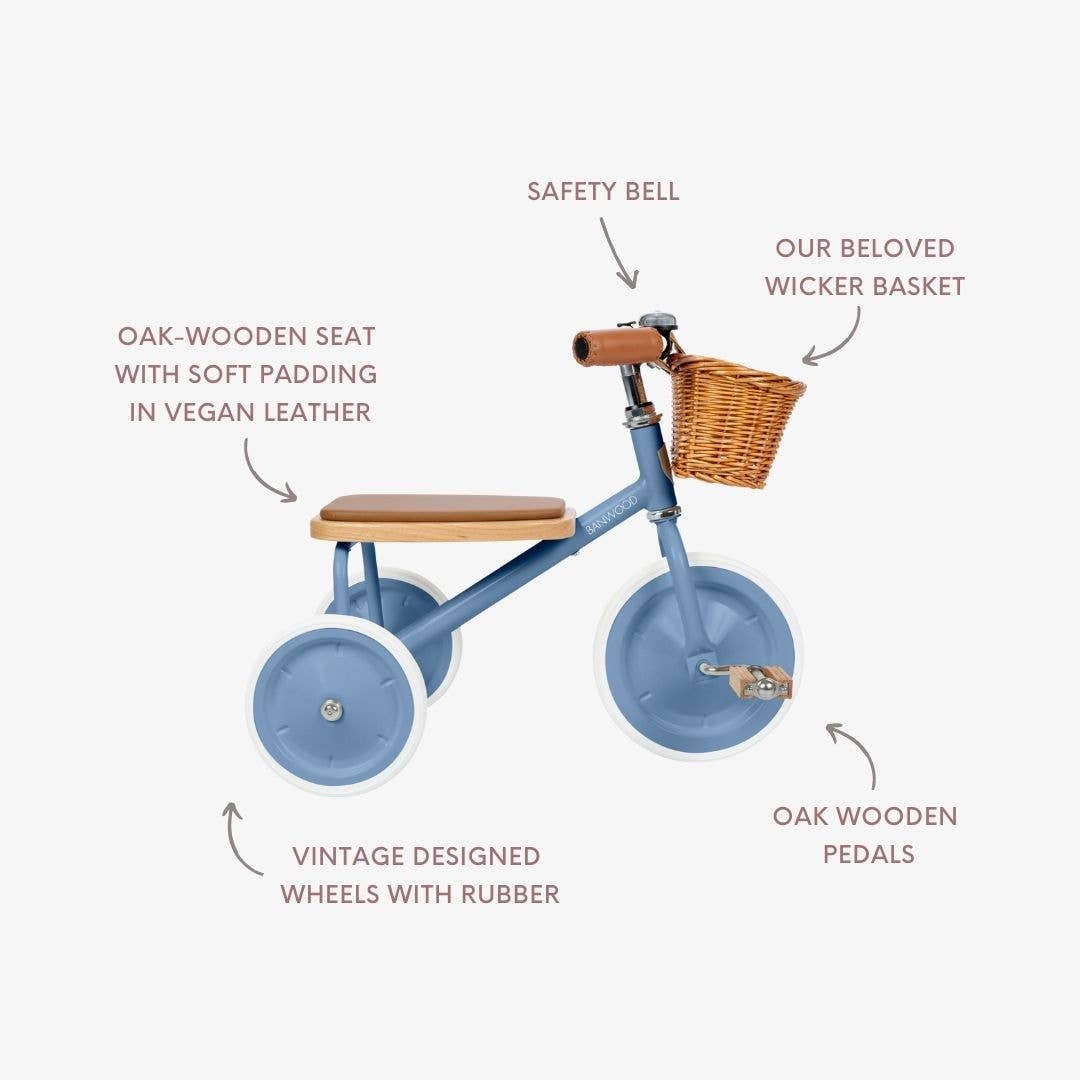 VINTAGE TRIKE BLUE