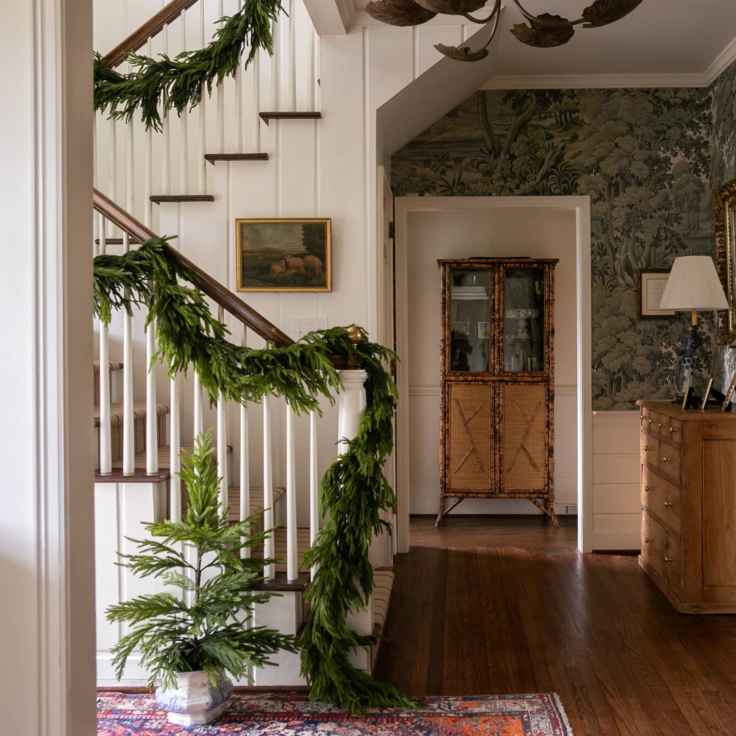 NORFOLK PINE TREE- 36"