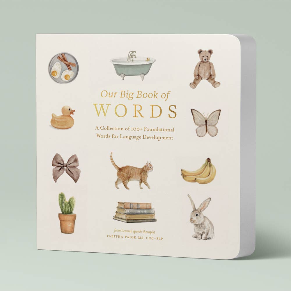 OUR BIG BOOK OF FIRST WORDS