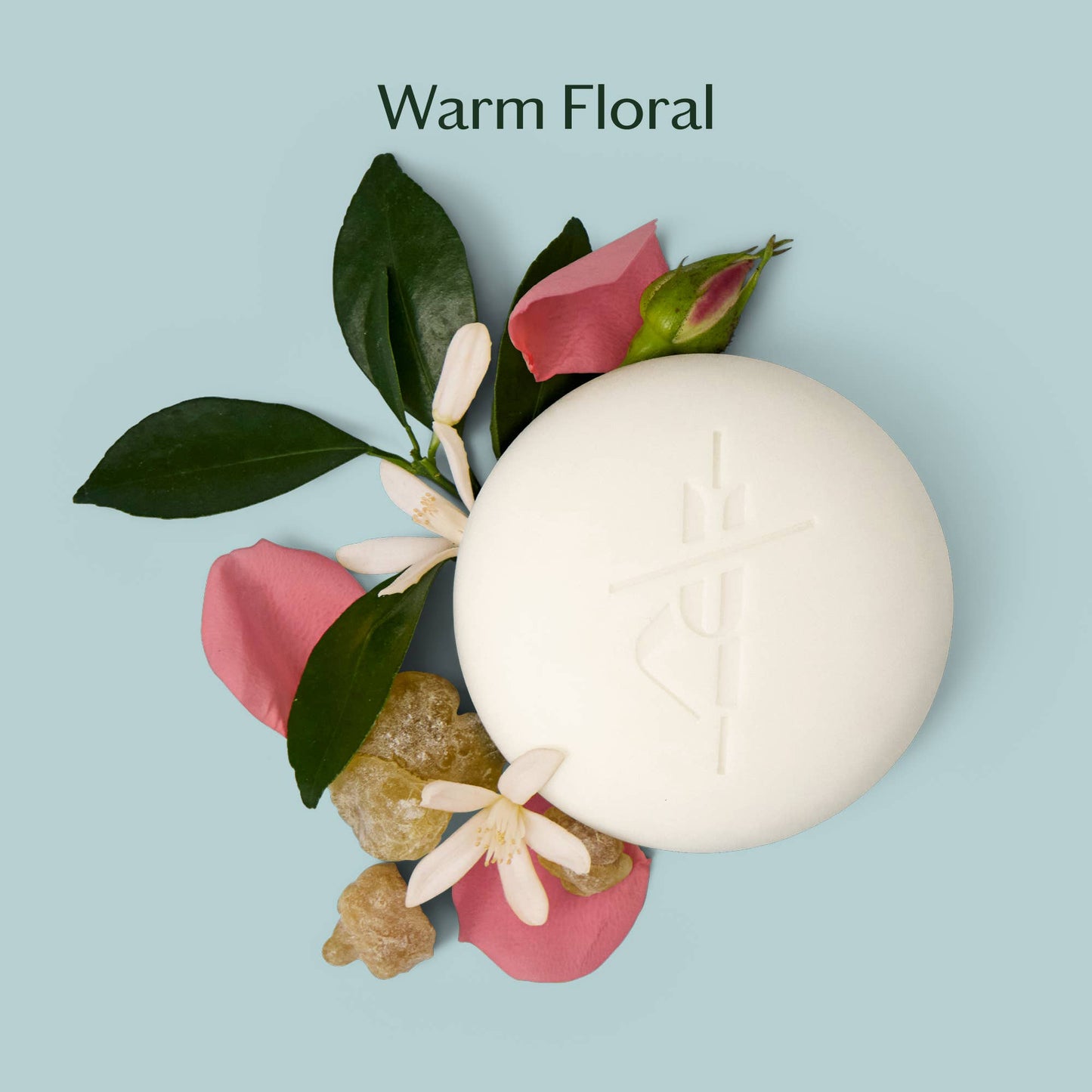 DAILY STONE | DEEP MOISTURIZING LOTION BAR