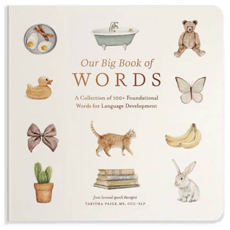 OUR BIG BOOK OF FIRST WORDS