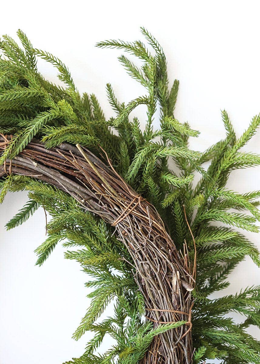 NORFOLK PINE WREATH- 24"