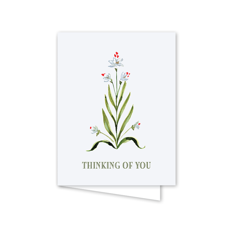 PAPERWHITES SCALLOP THINKING OF YOU