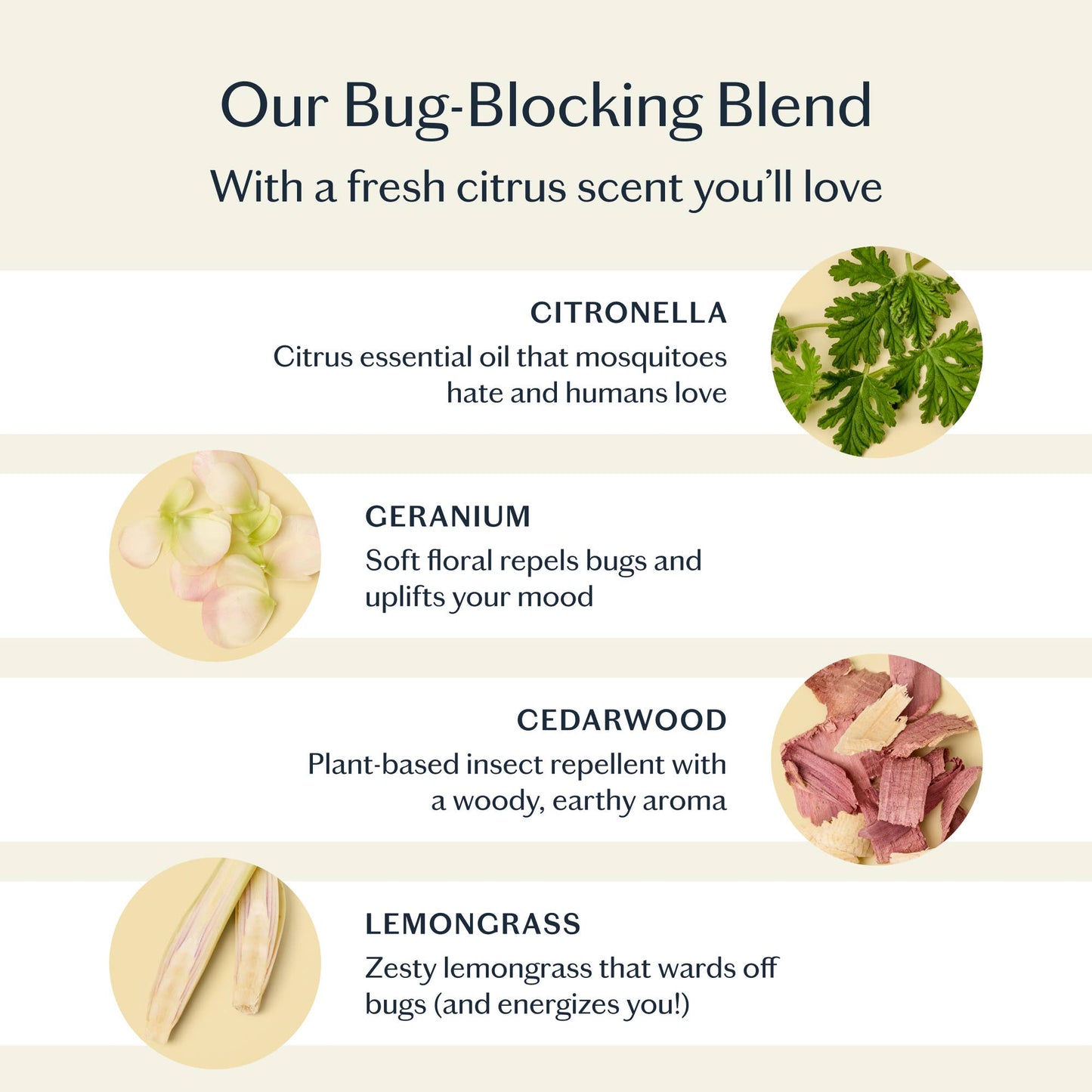 BUG BALM