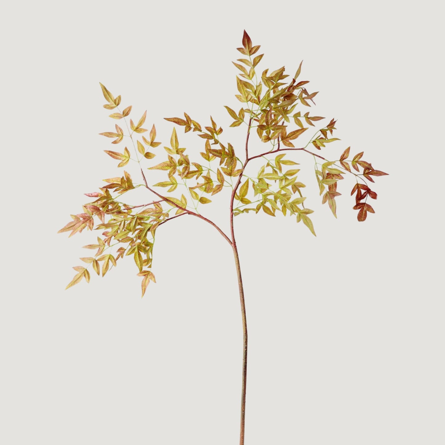 NANDINA LEAF BRANCH