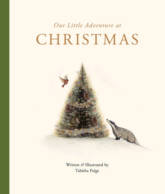 OUR LITTLE ADVENTURE AT CHRISTMAS
