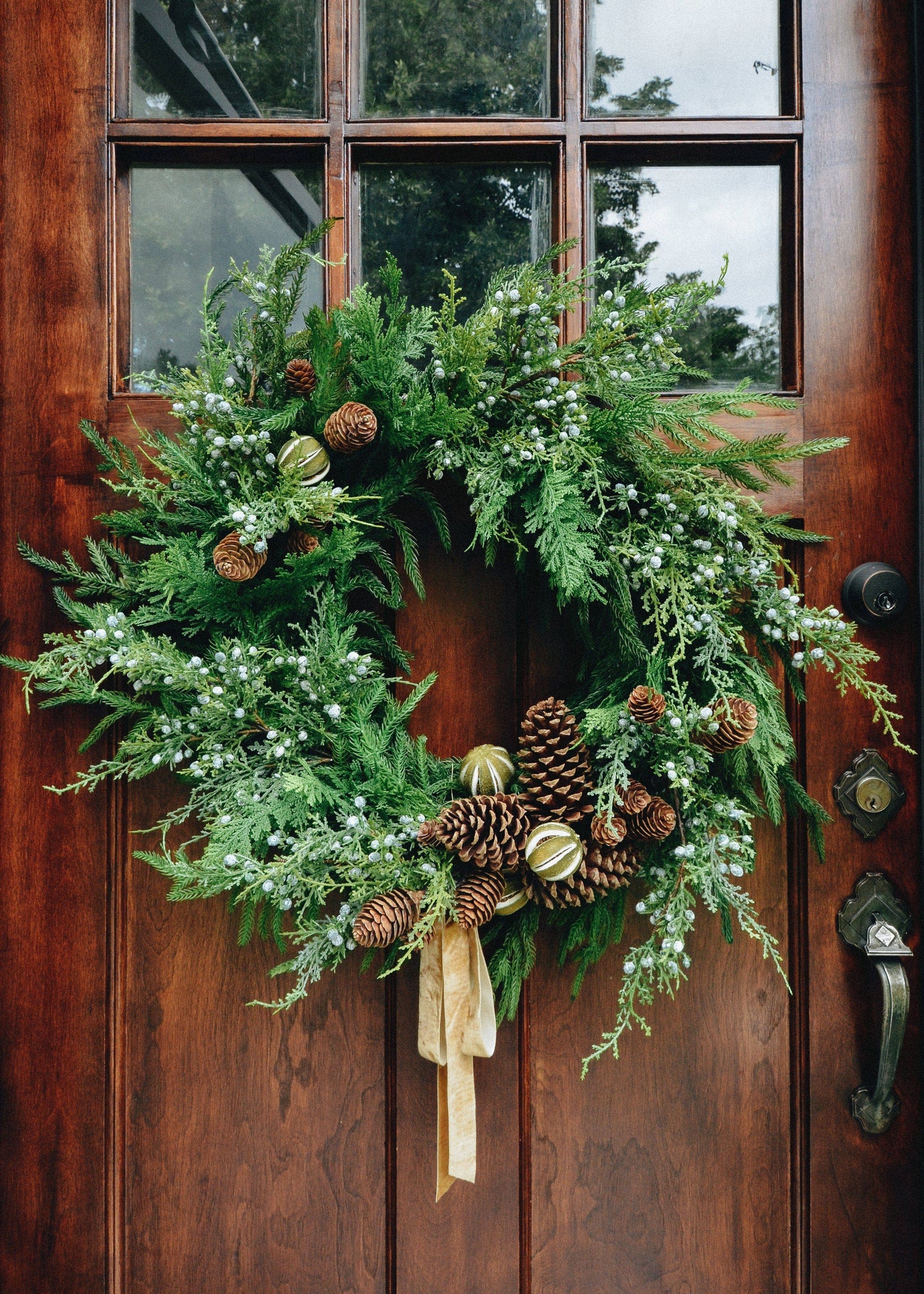 NORFOLK PINE WREATH- 24"
