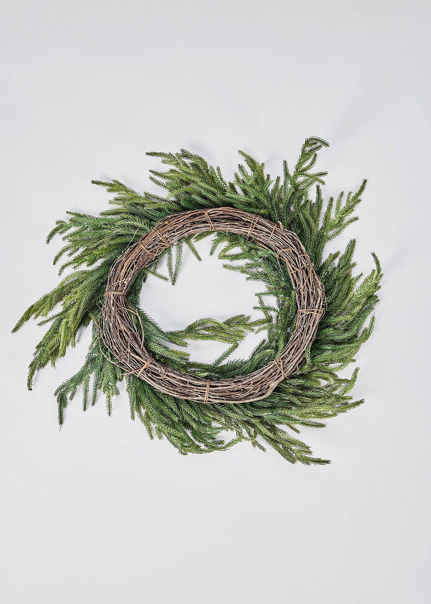 NORFOLK PINE WREATH- 24"