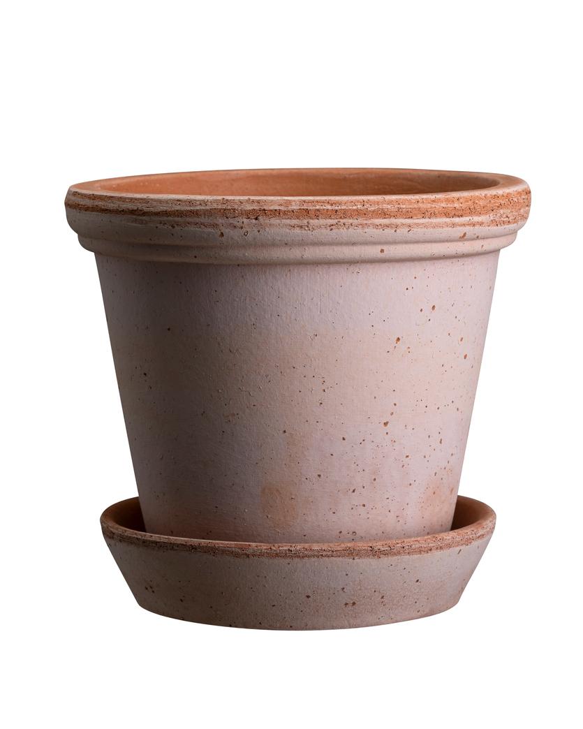 FLORA RAW ROSA