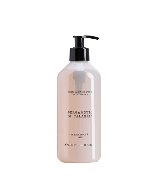FINE LIQUID HAND AND BODY WASH