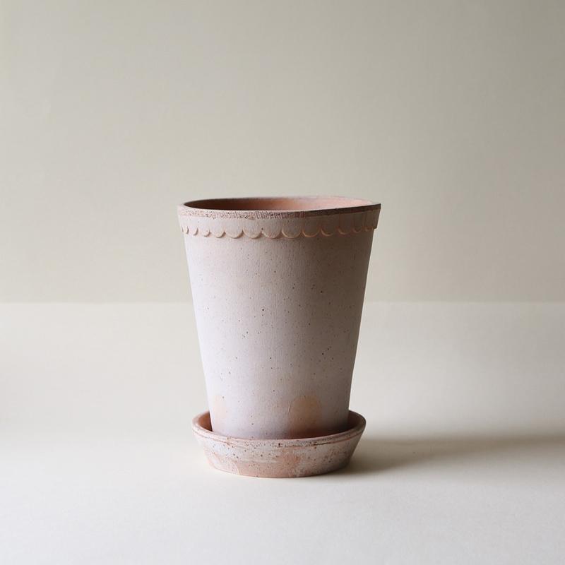 HELENA RAW ROSA