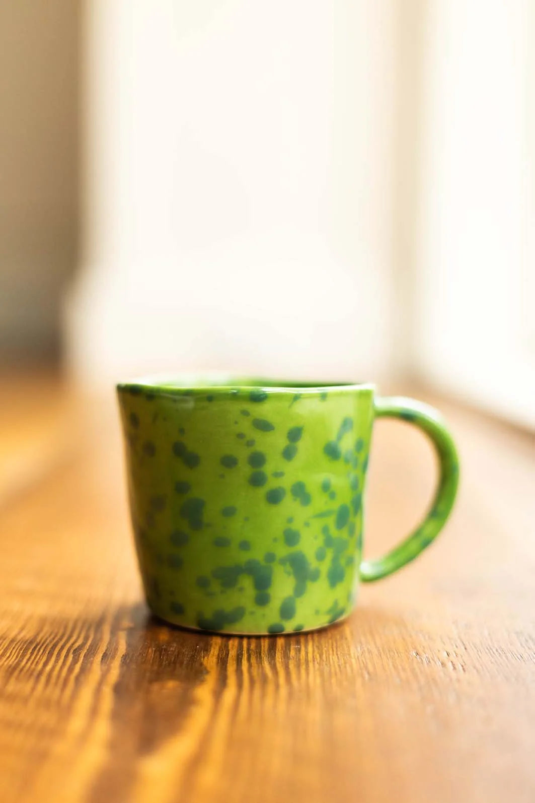 TORTOISE MUG