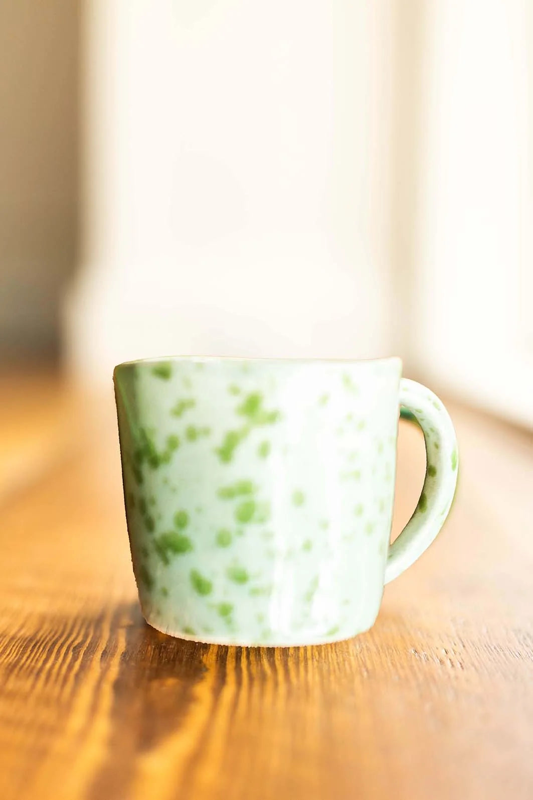 TORTOISE MUG