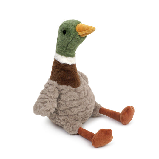 RIVER MALLARD DUCK