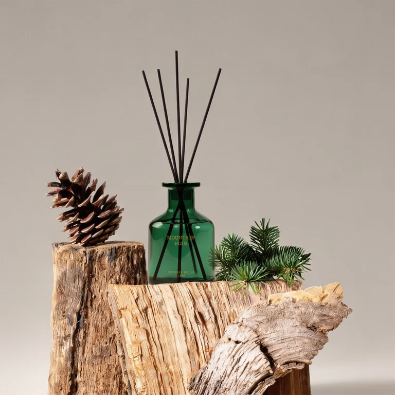 HOLIDAY DIFFUSER