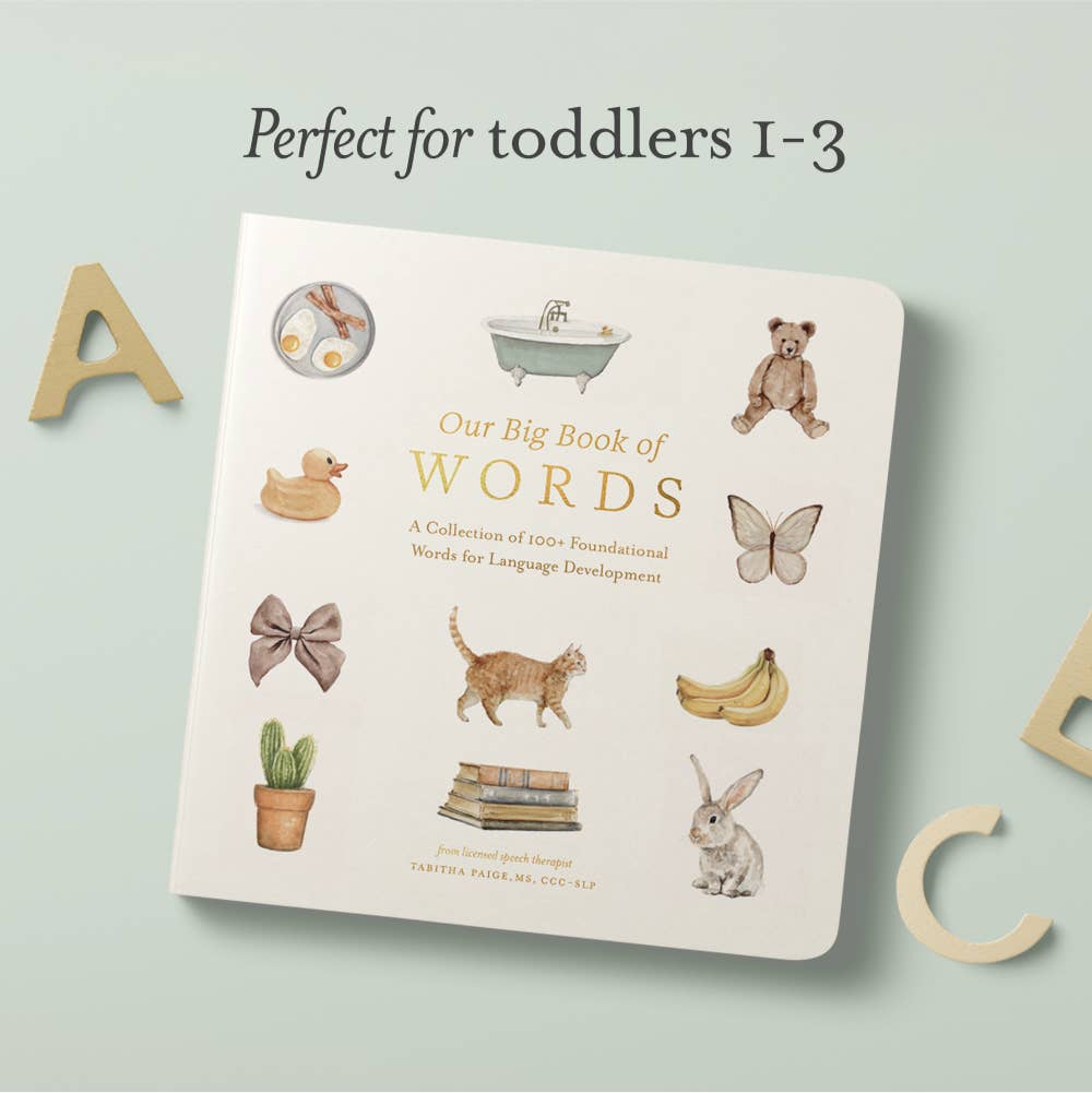 OUR BIG BOOK OF FIRST WORDS