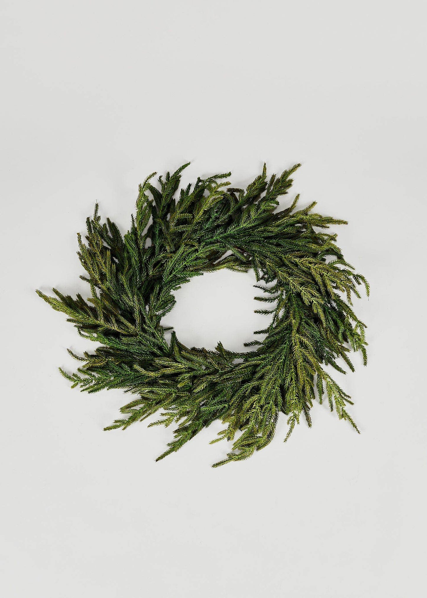 NORFOLK PINE WREATH- 24"