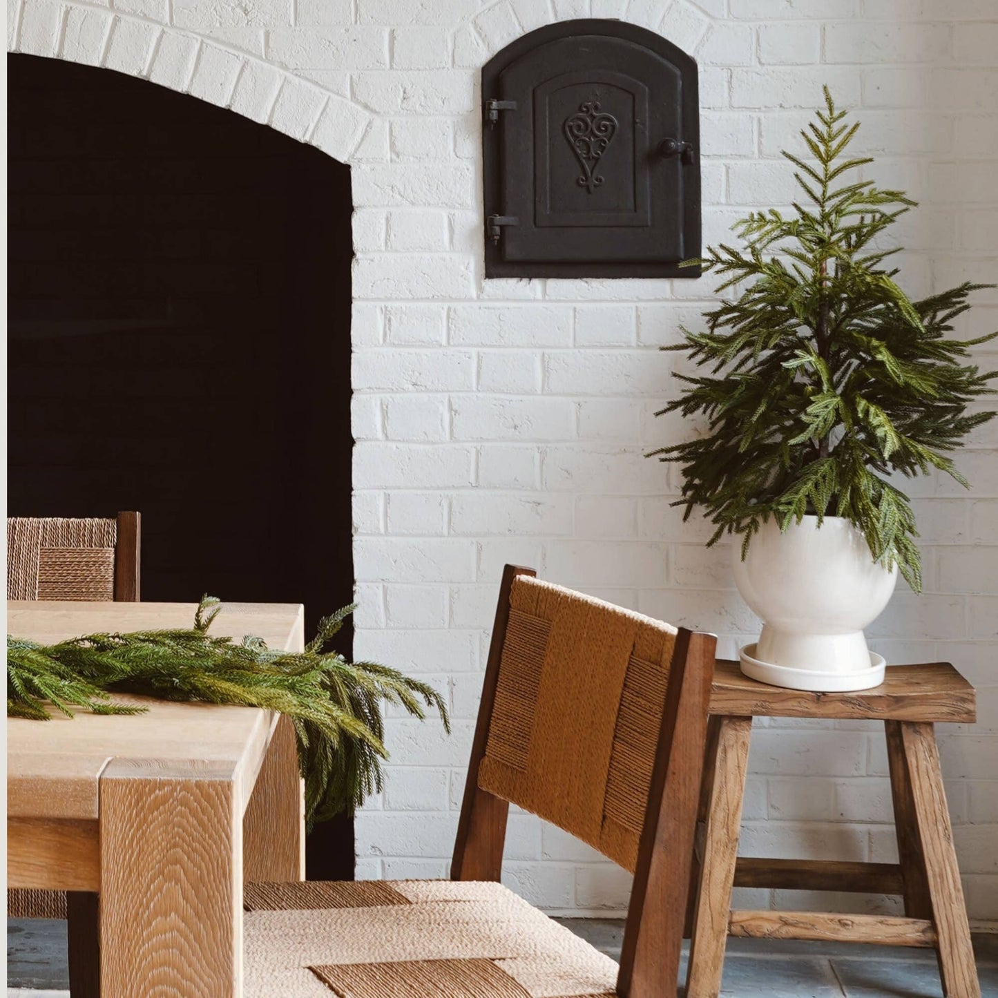 NORFOLK PINE TREE- 36"